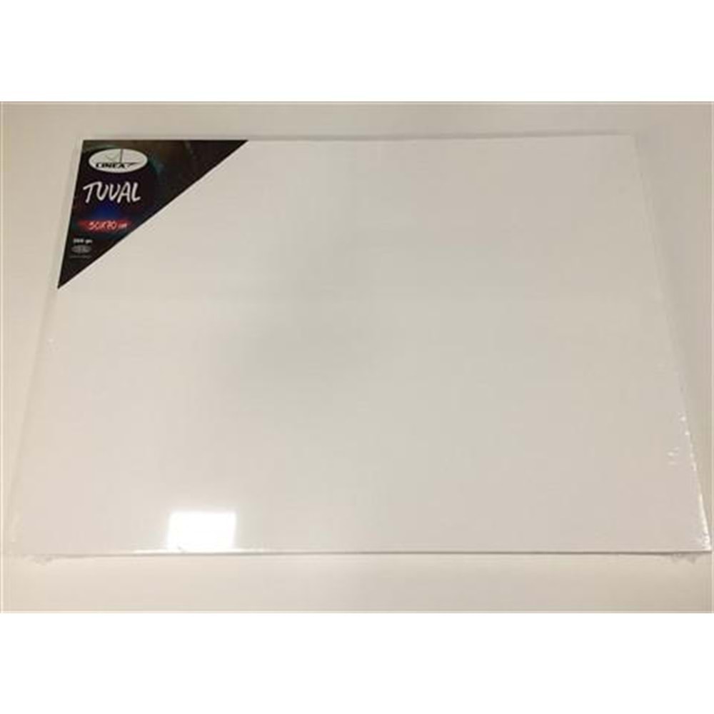 Lİnea Profosyonel Tuval 50 x 70 cm