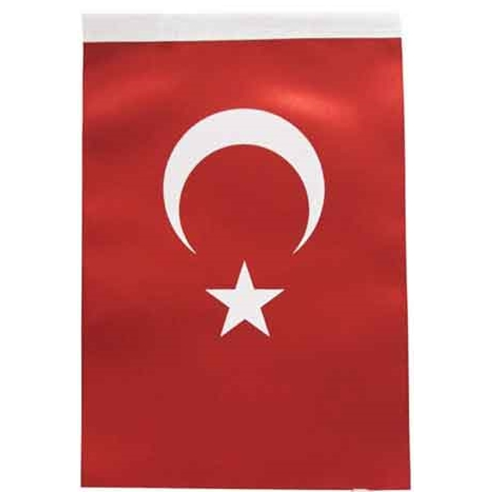 200x300 Türk Bayrağı Alpaka Bkt.111