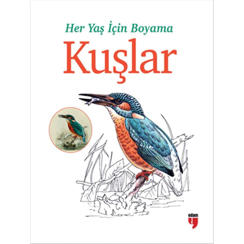 Her Yaş İçin Boyama-Kuşlar, Clz