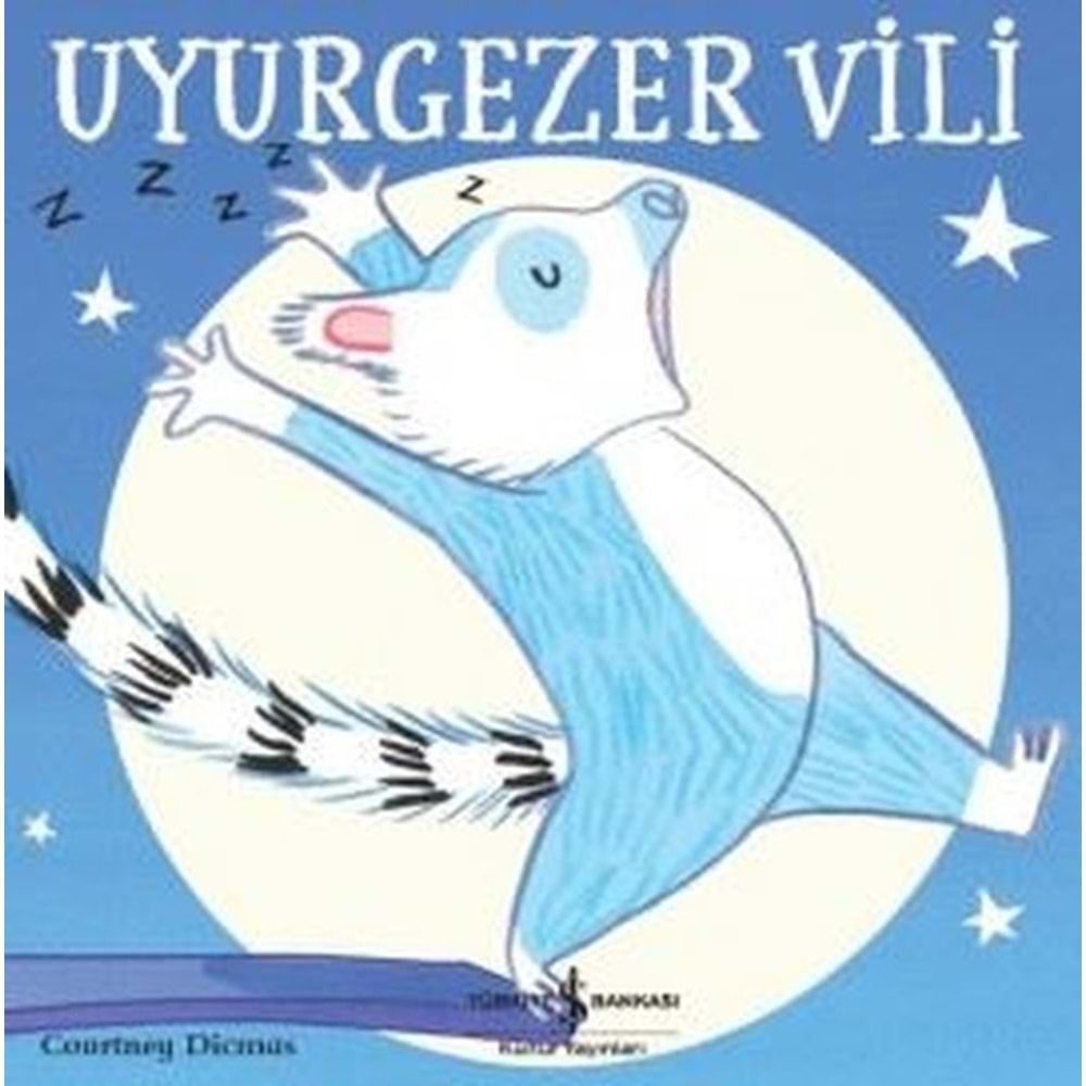 Uyur Gezer Vili