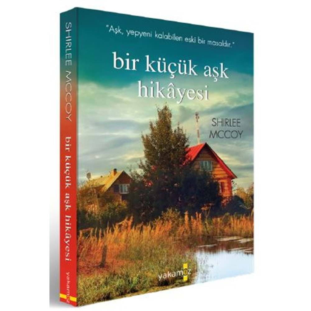 Bir Küçük Aşk Hikayesi