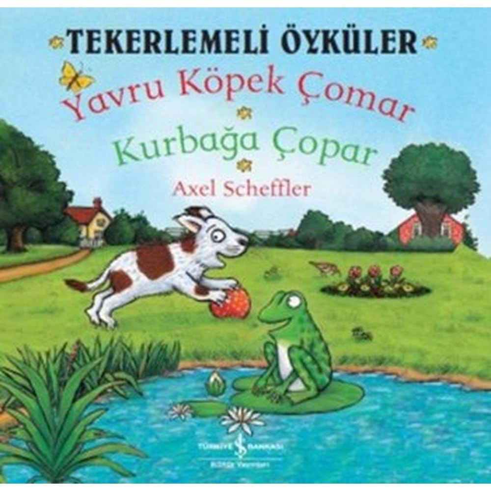 Yavru Köpek Çomar Kurbağa Çorpar