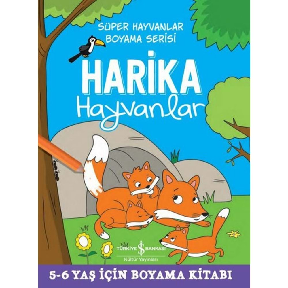 Harika Hayvanlar Boyama Kitabı