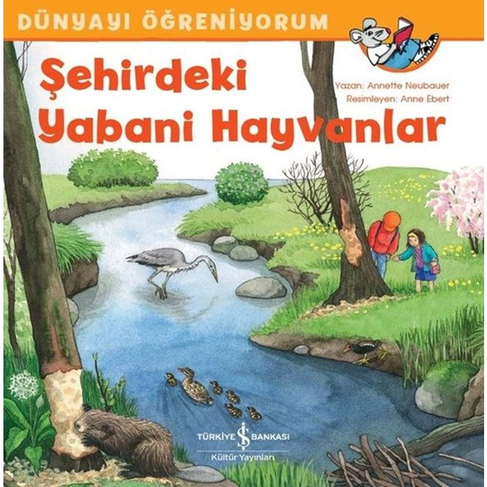 Şehirdeki Hayvanlar