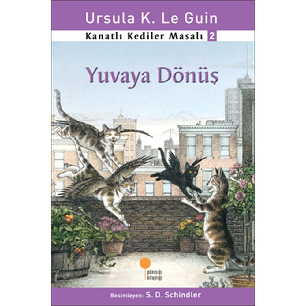 Kanatlı Kediler Masalı - Yuvaya Dönüş