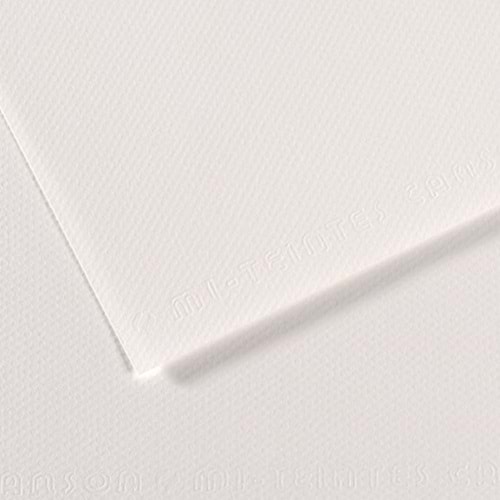 CANSON 335 BEYAZ 50x65 FON KARTONU 160 gr 10 lu