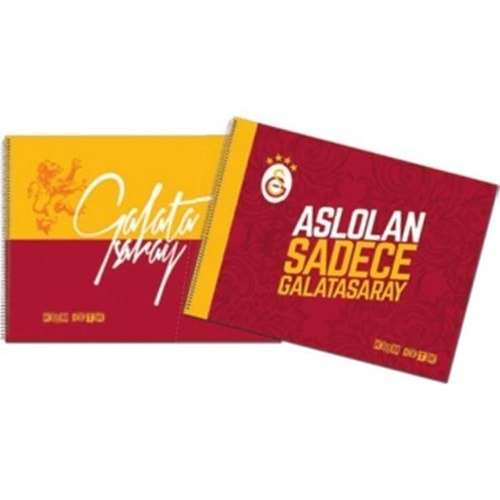 Hakan Galatasaray Lisansl Spiralli PP Kapak 35*50-15 Yaprak Resim Defteri