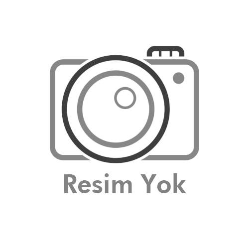 Standard Wörterbuch Deutsch Almanca Sözlük